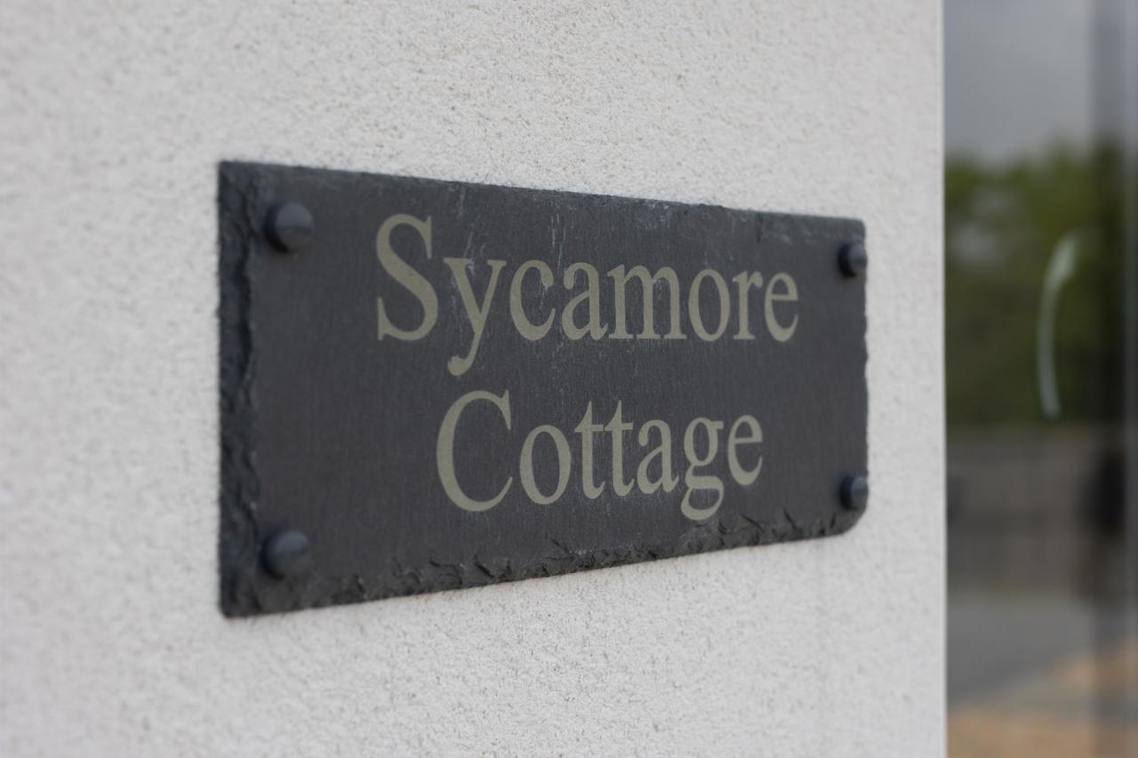 Sycamore Cottage Tenby Exteriör bild